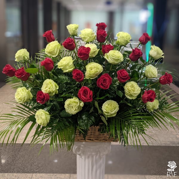 Three Dozen White And Red Roses by Rosemont Florist