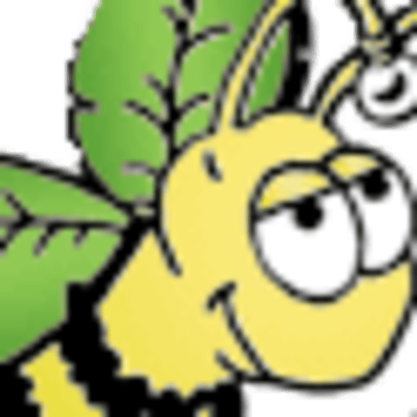 ARTISAN'S CHOICE CREATION