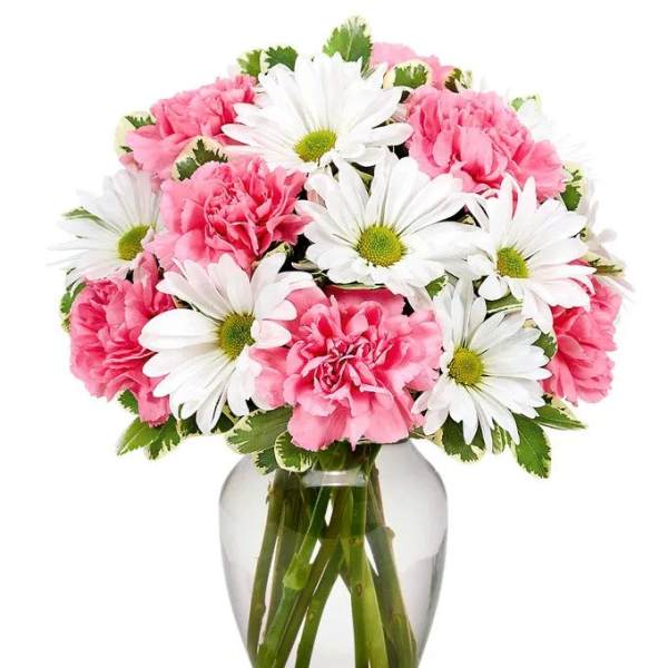 Delightfully Pink Daisy