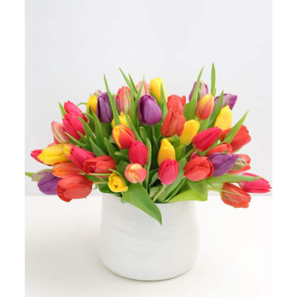 Tulips, tulips, tulips