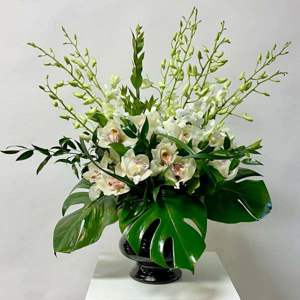 White orchids arranged in a black vase with large glossy leaves