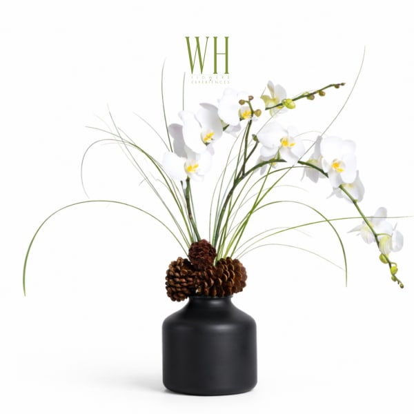 White orchid stems in a black vase with pinecones