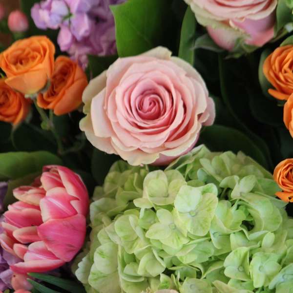 Mommy's Favorite Child