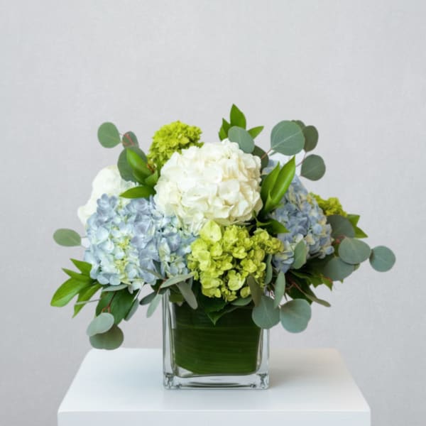 Compact arrangement of white and green hydrangeas with eucalyptus in a clear square glass vase