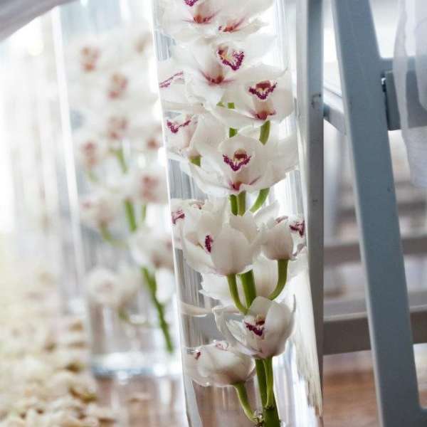 White orchids with purple centers arranged in a tall glass vase