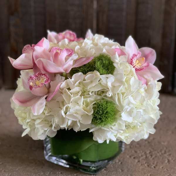 Pink orchids and white hydrangeas in a square glass vase