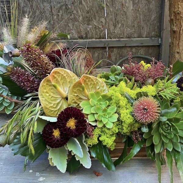 Tropical arrangement with succulents, anthuriums, and dark dahlias in a wooden container