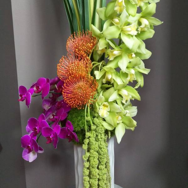 Tall orchid arrangement with orange pincushion blooms in a white vase