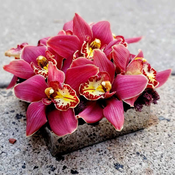 Cluster of pink orchids arranged on a stone block