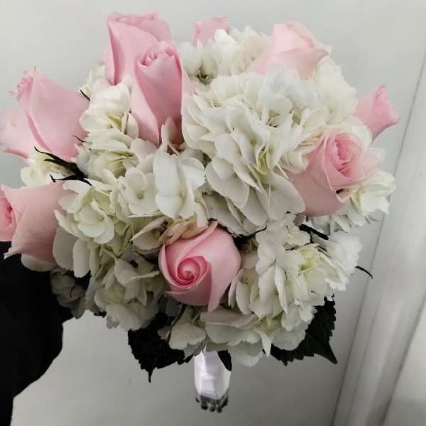 Pink roses and white hydrangeas in a hand-tied bouquet