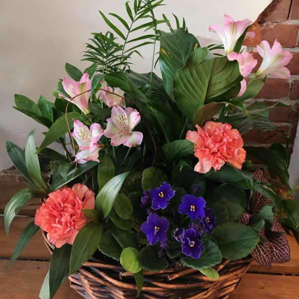 Basket arrangement with pink lilies, coral carnations, and purple violets