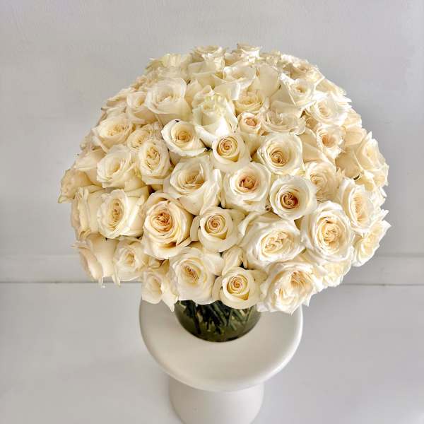 100 White Roses Grand Vase