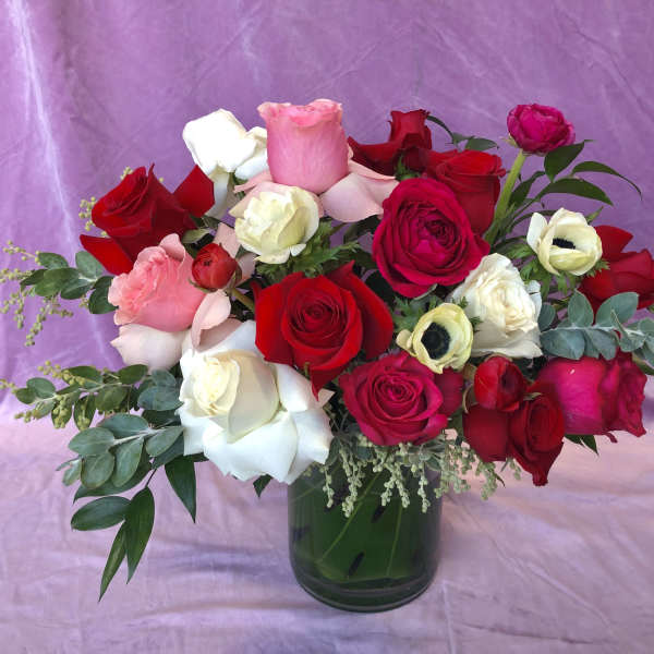 Mixed roses in red, pink, and white arranged in a glass vase