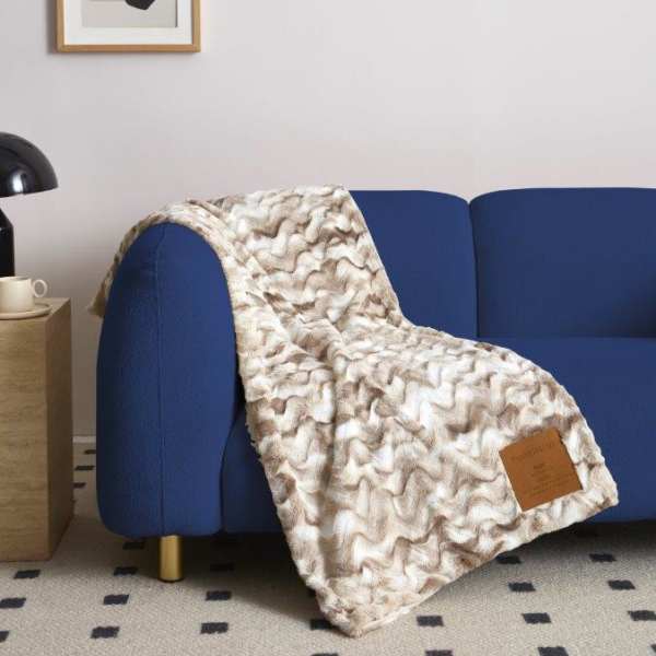 Patterned throw blanket draped over a blue sofa in a living room