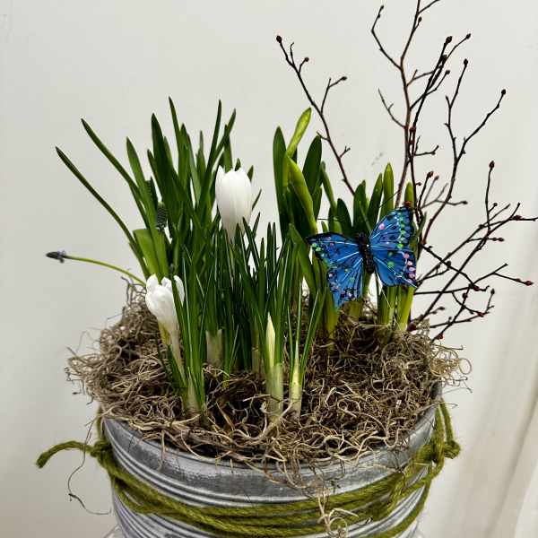 Rustic Bulb Garden by Westford Florist Art by Veny