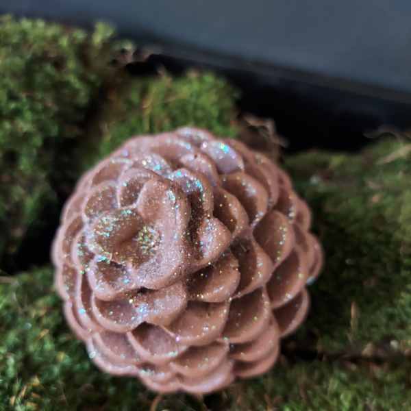 Glittery pine cone resting on moss