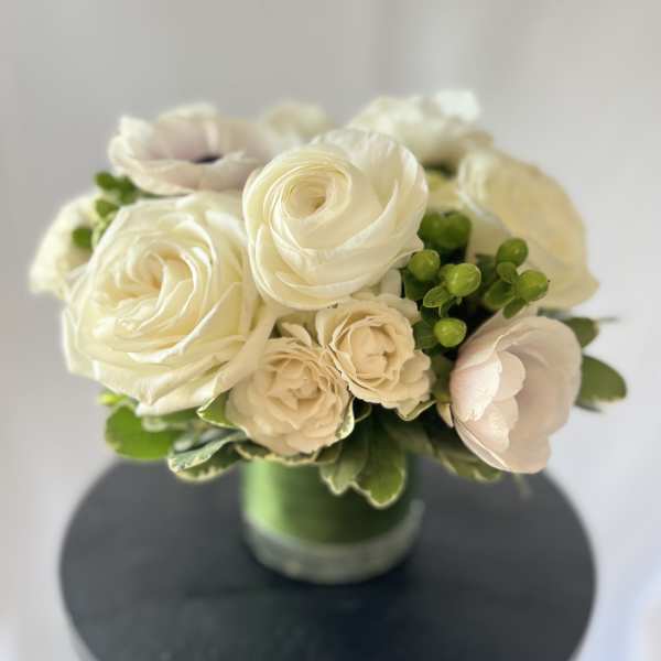 Pure White - Modern - Luxury Collection