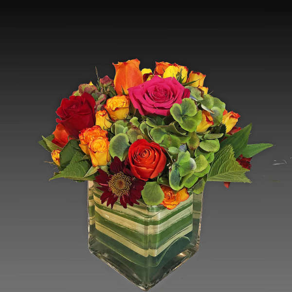 Mixed roses and a dark daisy in a square glass vase