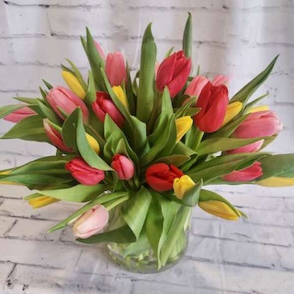 Bouquet of pink, red, and yellow tulips in a clear glass vase