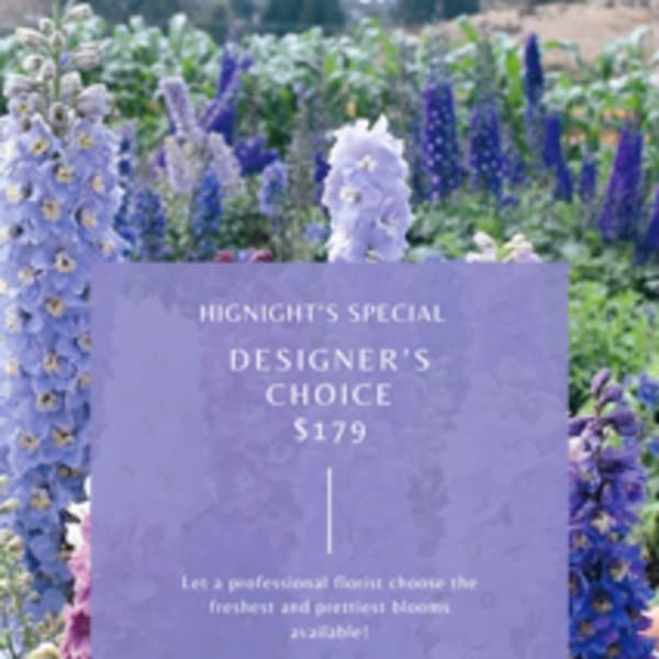$179 Designer's Choice Arrangement