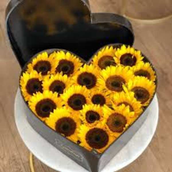 Heart-shaped box filled with sunflowers