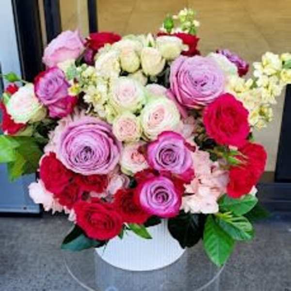 Round arrangement of pink, red, and white roses in a white hatbox-style container.