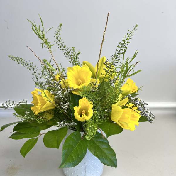 Daffodil Bouquet