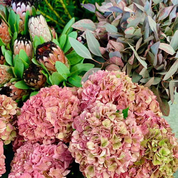 The best of the day.