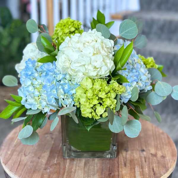 Blue and white hydrangea arrangement in a square glass vase