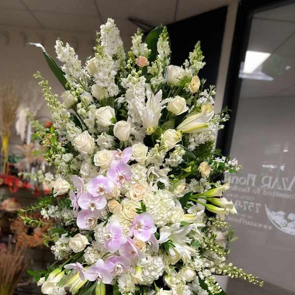 Pacific View Elegance Tribute