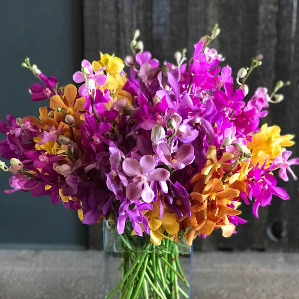 Colorful orchid bouquet in a clear glass vase