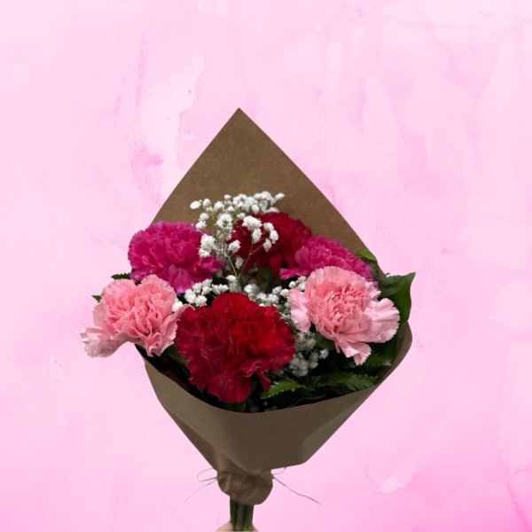 Bouquet of pink and red carnations with baby's breath in brown paper