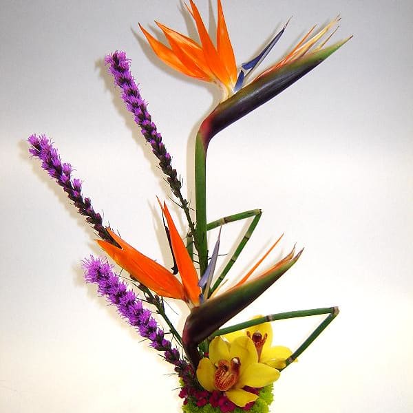 Tropical flower arrangement in a clear glass vase with orange bird of paradise and yellow orchids