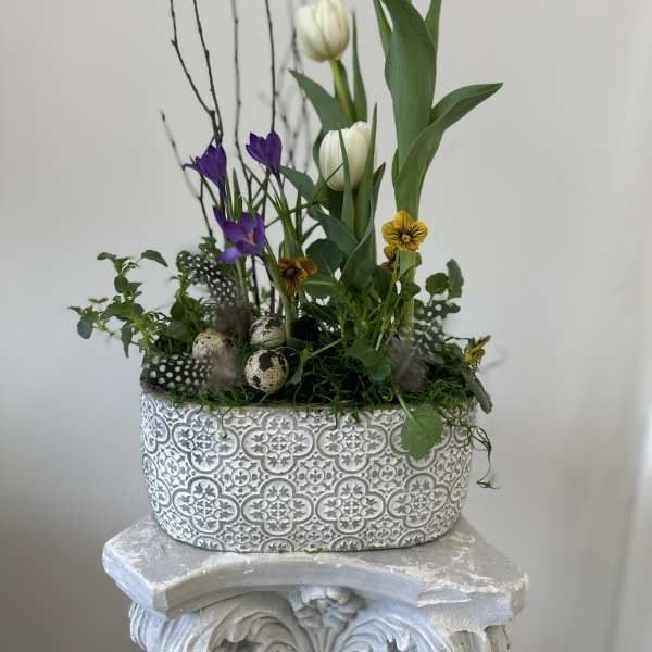 Spring Air Garden by Westford Florist Art by Veny