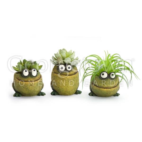 Three frog-shaped succulent planters with cartoon eyes