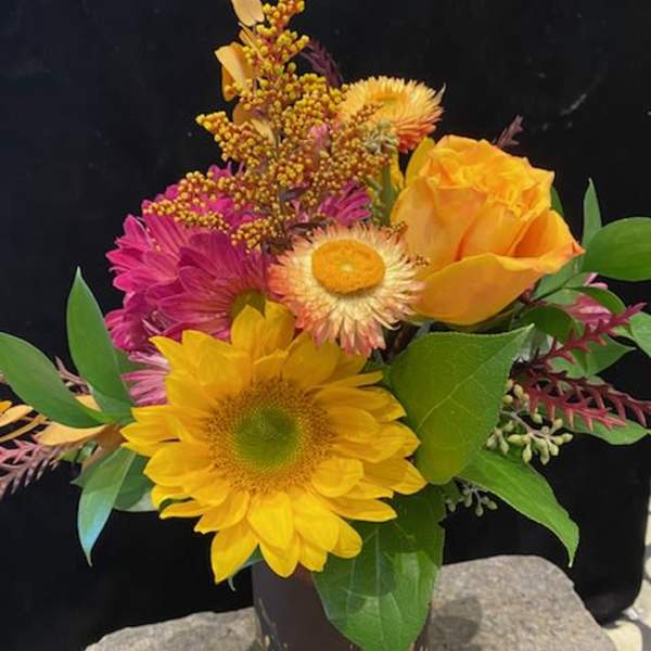 Vermont Sugar Maples