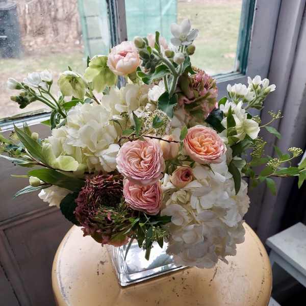 Blush roses and white hydrangeas arranged in a square glass vase
