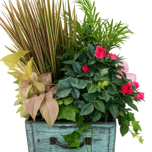 Vintage Box Dish Garden