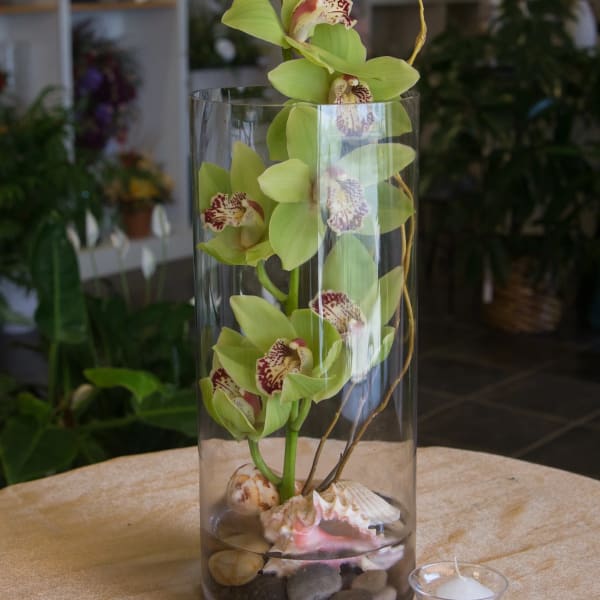 Green orchids arranged in a tall glass cylinder with shells and stones