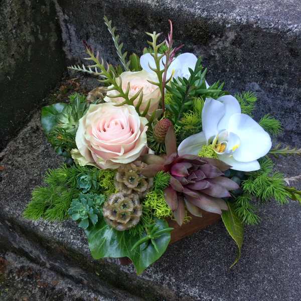 Arrangement of pale pink roses and white orchids with succulents