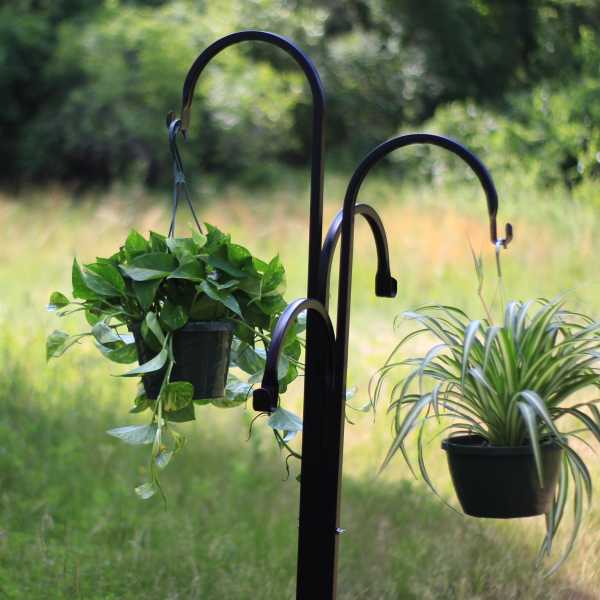 Two hanging potted plants on a black metal stand outdoors