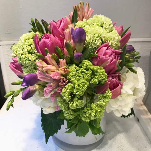 Pink and purple tulips with green hydrangeas in a white vase