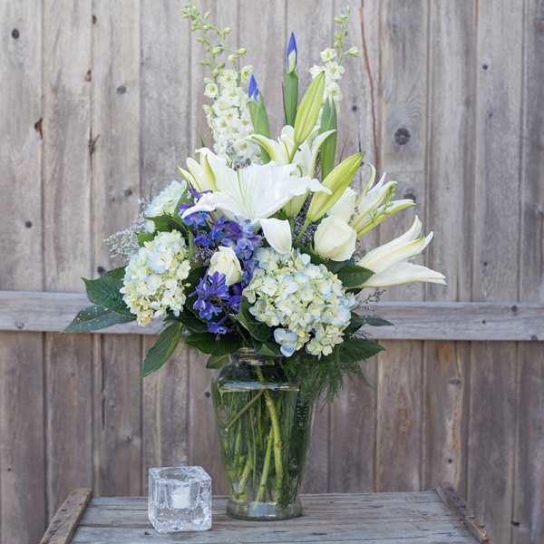 The Colonial Garden #27