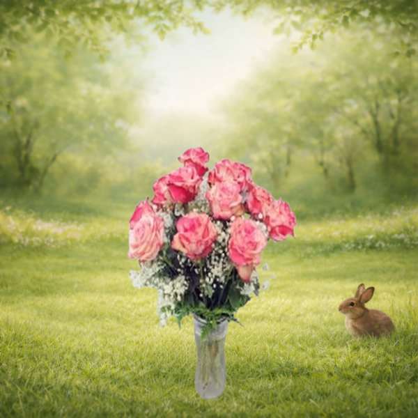 RV12M Magic Times Roses