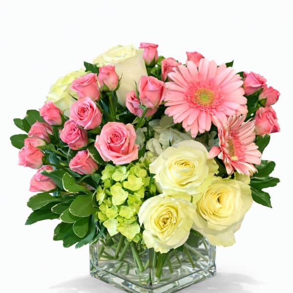 Pink and cream roses with pink gerbera daisies in a square glass vase
