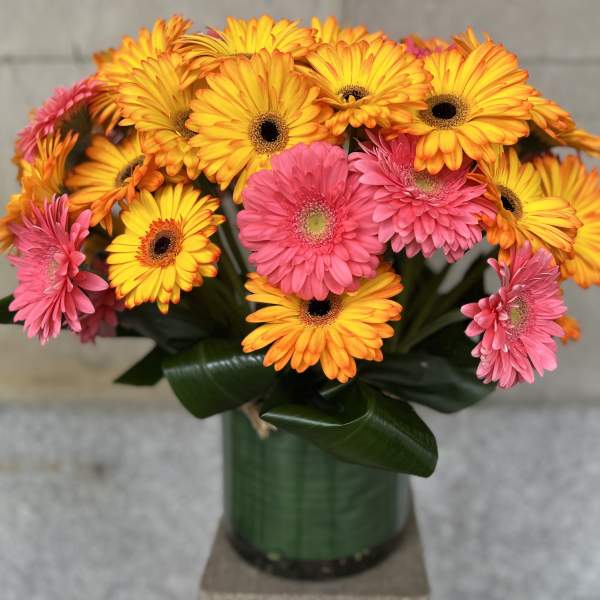 Pink and orange gerbera daisies in a green vase