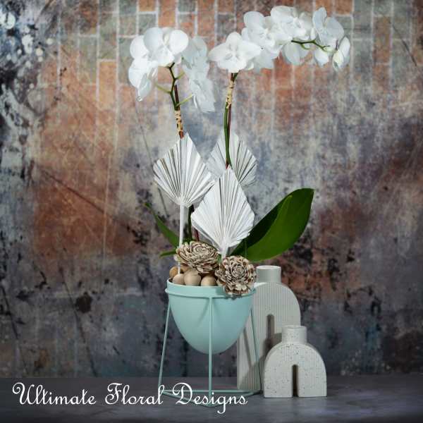 White orchids in a mint pot with decorative accents