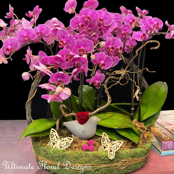 Pink orchids arranged in a moss-covered basket with a small red rose accent
