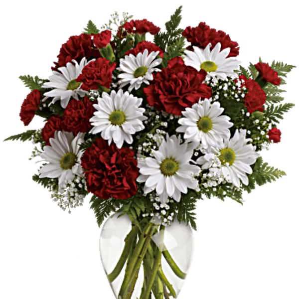 Red carnations and white daisies in a clear glass vase