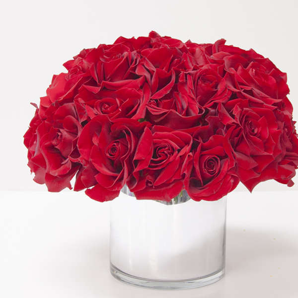 Red roses arranged in a clear glass vase
